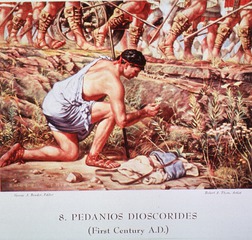 8. Pedanios Dioscorides (First Century A.D.)