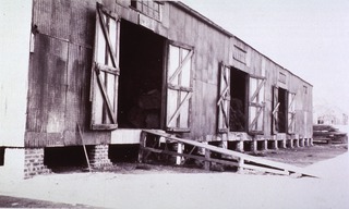 [Rodent control]: [Rat-proofing by building elevation in New Orleans, 1914-1916]