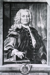 Albertus Haller