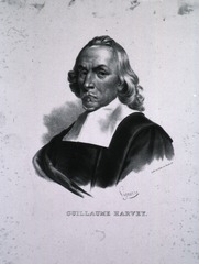 Guillaume Harvey