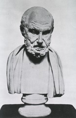 [Bust of Hippocrates]
