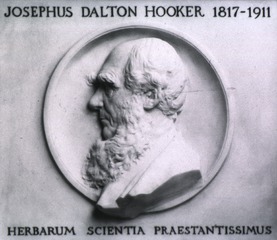 Josephus Dalton Hooker: [Memorial tablet]