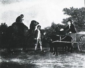 John Hunter in the Buffalo Cart which he used to drive down Piccadilly from his house at Earl's Court in 1792