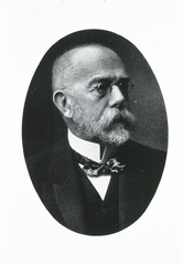 Robert Koch