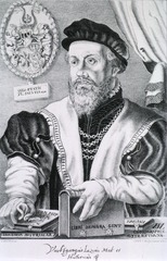 Wolfgangus Lazius Med. et Historicus