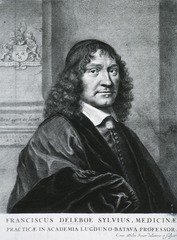 Franciscus Deleboe Sylvius, Medicinae