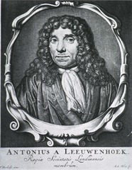 Antonius a Leeuwenhoek