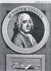 Mr. Pieter Lyonet