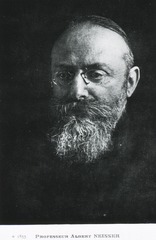 Professeur Albert Neisser