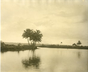 [Lagoon at Aricebo, Puerto Rico]