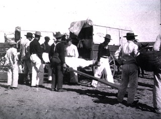 [Ambulances and supply wagons]