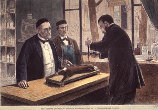 The French Chemist, M. Pasteur, Experimenting on a Chloroformed Rabbit