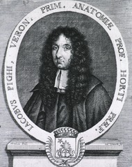 Jacobus Pighi, Veron. Prim. Anatomiae Prof. Horti Praef