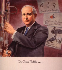 Dr. Oscar Riddle