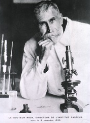 Le Docteur Roux, Directeur De L'Institut Pasteur