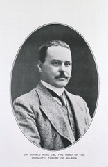 Dr. Ronald Ross, C.B., The Hero of the Mosquito Theory of Malaria