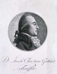 D. Jacob Christian Gottlieb Schaeffer