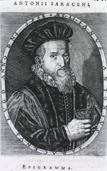Janus Antonius Saracenus