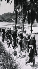 [Albert Schweitzer]: [Villagers carrying supplies from the river to the hospital]