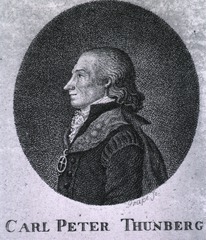 Carl Peter Thunberg