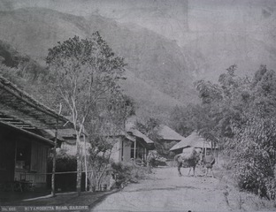 [Miyanoshita Road, Hakone]