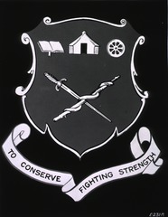 The Emblem of The Medical Field Service School