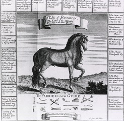 [Veterinary medicine: A table of diseases of horses, showing instruments & utensils]