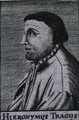 Hieronymus Tragus: Medicus Hornbacensis