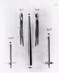 [Forceps and tubes for the removal of stones]