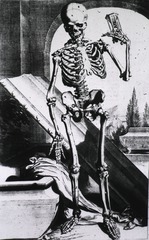 [Skeleton]