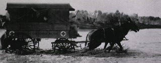 [Mule drawn ambulance crossing Rio Grande]
