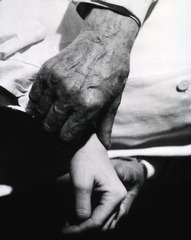 [The hands of Professor Clarence Crafoord of Stockholm, a pioneer of modern heart surgery, are shown taking the pulse of a patient, of whom only a hand is shown]