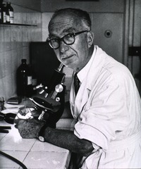 40 years against malaria: Dr. E. Pampana, first Director of Malaria Eradication in WHO, in his laboratory in Florence, Italy