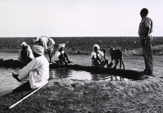 Sudanese washing their feet in canal water. A correlation has been detected between the incidence of urinary bladder cancers and schistosomiasis (bilharziasis) infection - caused by a water-borne parasite- in some river valley areas
