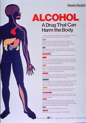 Alcohol: a drug that can harm the body