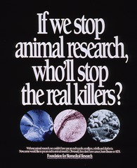 If we stop animal research, who'll stop the real killers?