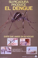 Su picadura produce el dengue