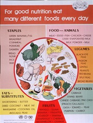 For good nutrition eat many different foods every day
