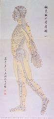 [Reference chart for acupuncture points, side view, skeleton]