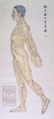 [Reference chart for acupuncture points, side view, musculature]