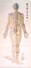 [Reference chart for acupuncture points, dorsal view, bones and muscle]