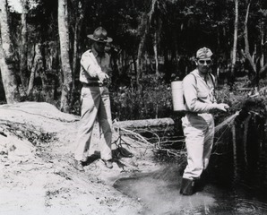 Spraying insecticide in swamps at Camp Blanding to keep down growth of mosquitos