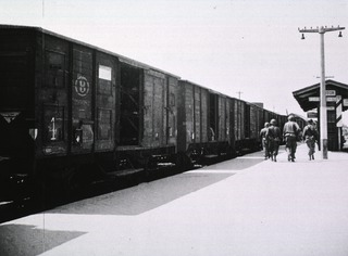 First ambulance train in France, exterior, showing litter cars