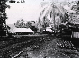 [General view of the 1st Portable Surgical Hospital, Oro Bay, New Guinea, 1943]