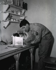 [Laboratory in the 38th General Hospital, Egypt]