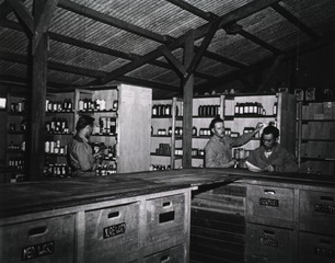 [Medical supply office at the 84th Station Hospital, Charters Towers, Queensland]