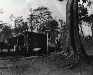 [Exterior view sheds in an unidentified locale]