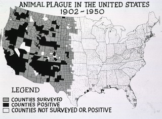 Animal plague in the United States, 1902-1950