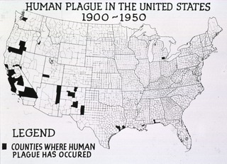Human plague in the United States, 1902-1950