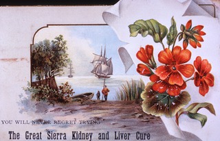 The great Sierra Kidney and Liver Cure: you will never regret trying
